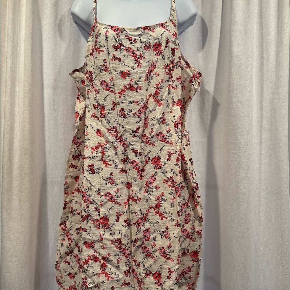 A New Day - Cream and Red Floral Mini Dress